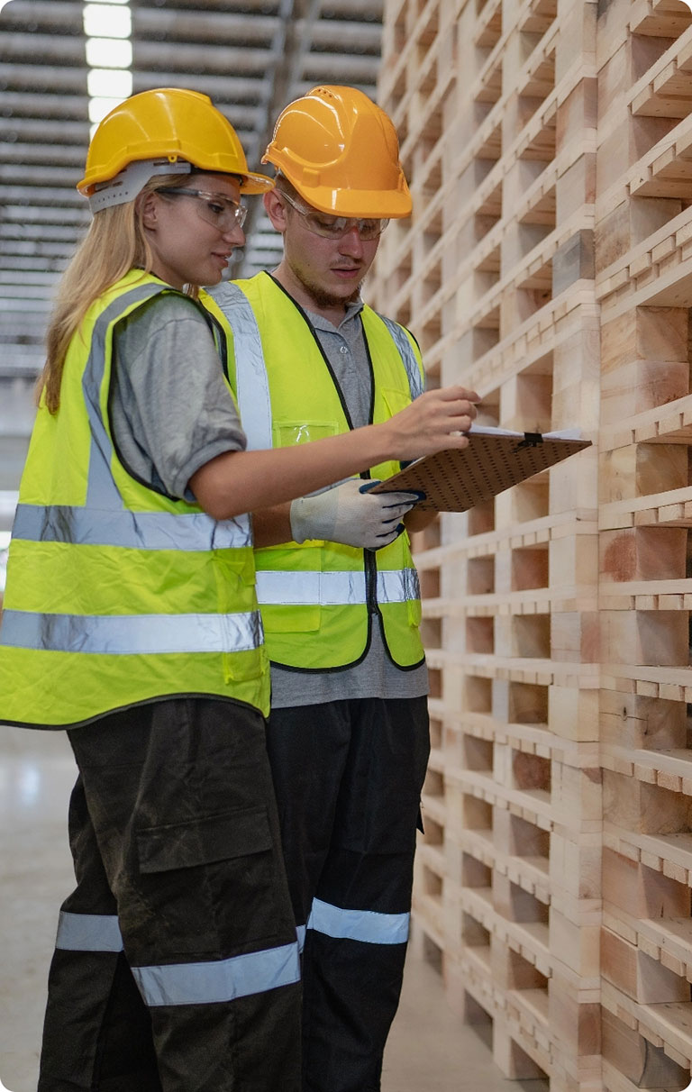 Inspecting pallets 1